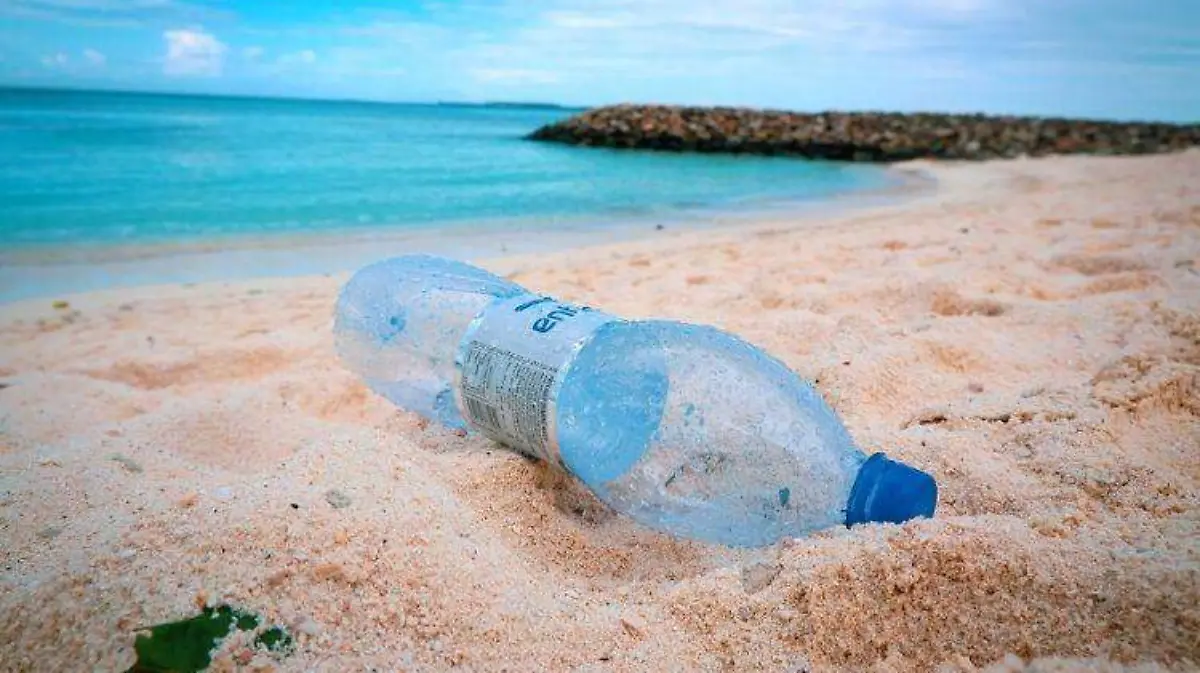 Residuos plásticos generan problemas graves de contaminación